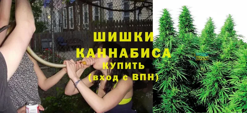 МАРИХУАНА SATIVA & INDICA  МЕГА сайт  Райчихинск  купить  сайты 